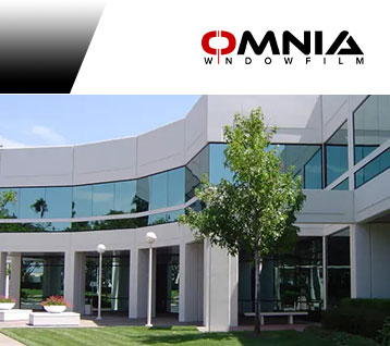 Omnia linea Green Omnia linea Green