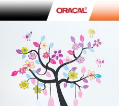 Oracal 638 Colori 63cm